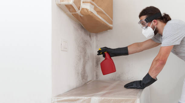 Professional Bathroom Mold Removal technician working in Framingham, MA