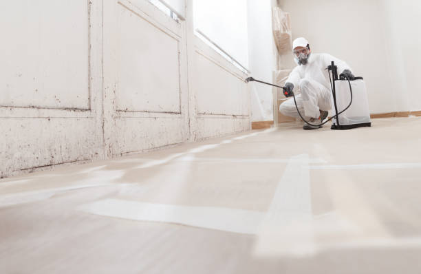 24/7 Emergency Bathroom Mold Removal experts in Framingham, MA